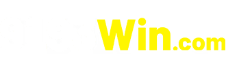 Logo 9193win